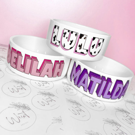 PERSONALISED FUNKY DOG/PET BOWL